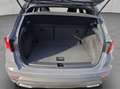 SEAT Arona FR Black Edition 1.0 TSI 85 kW (116 PS) 7-Ga Grau - thumbnail 4