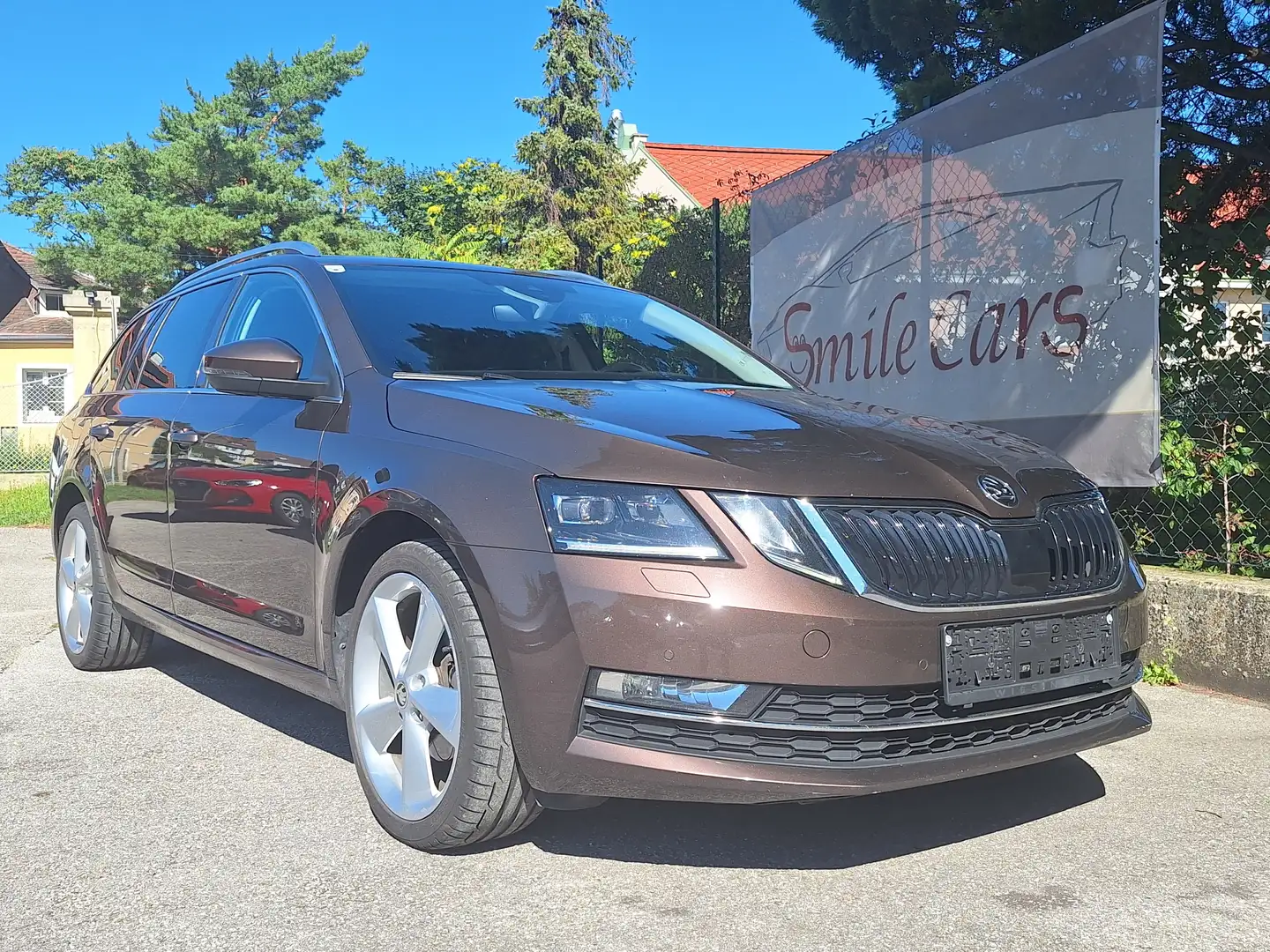 Skoda Octavia Octavia Combi 2,0 TDI Style DSG Braun - 1