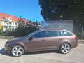 Skoda Octavia Octavia Combi 2,0 TDI Style DSG Braun - thumbnail 5