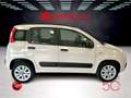 Fiat Panda 0.9 TwinAir Turbo Natural Power Km 73.000 Unico Pr Beige - thumbnail 6
