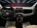 Fiat Panda 0.9 TwinAir Turbo Natural Power Km 73.000 Unico Pr Beige - thumbnail 14