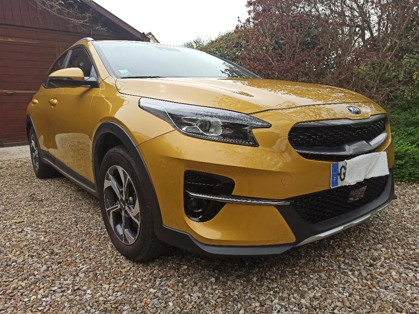 Kia XCeed 1.6l CRDi 136 ch DCT7 ISG Premium Jaune - 2