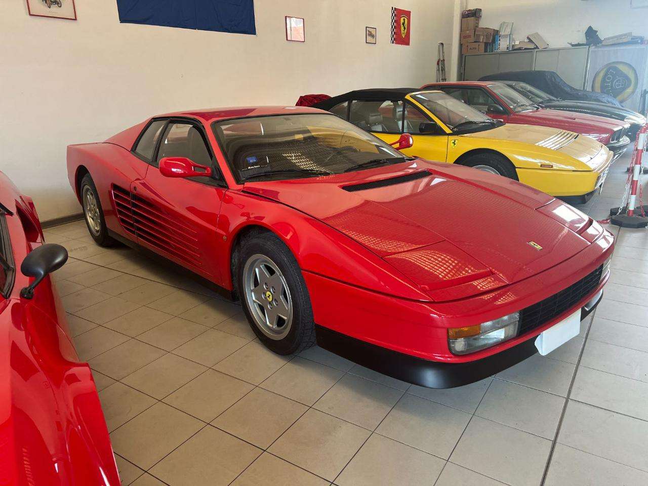 Ferrari Testarossa cat