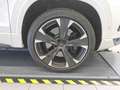 CUPRA Ateca VZ 2.0 TSI DSG 4Drive 360KAM+elHK+NAVI+SHZ Klima Weiß - thumbnail 9