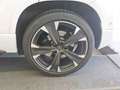 CUPRA Ateca VZ 2.0 TSI DSG 4Drive 360KAM+elHK+NAVI+SHZ Klima Weiß - thumbnail 10