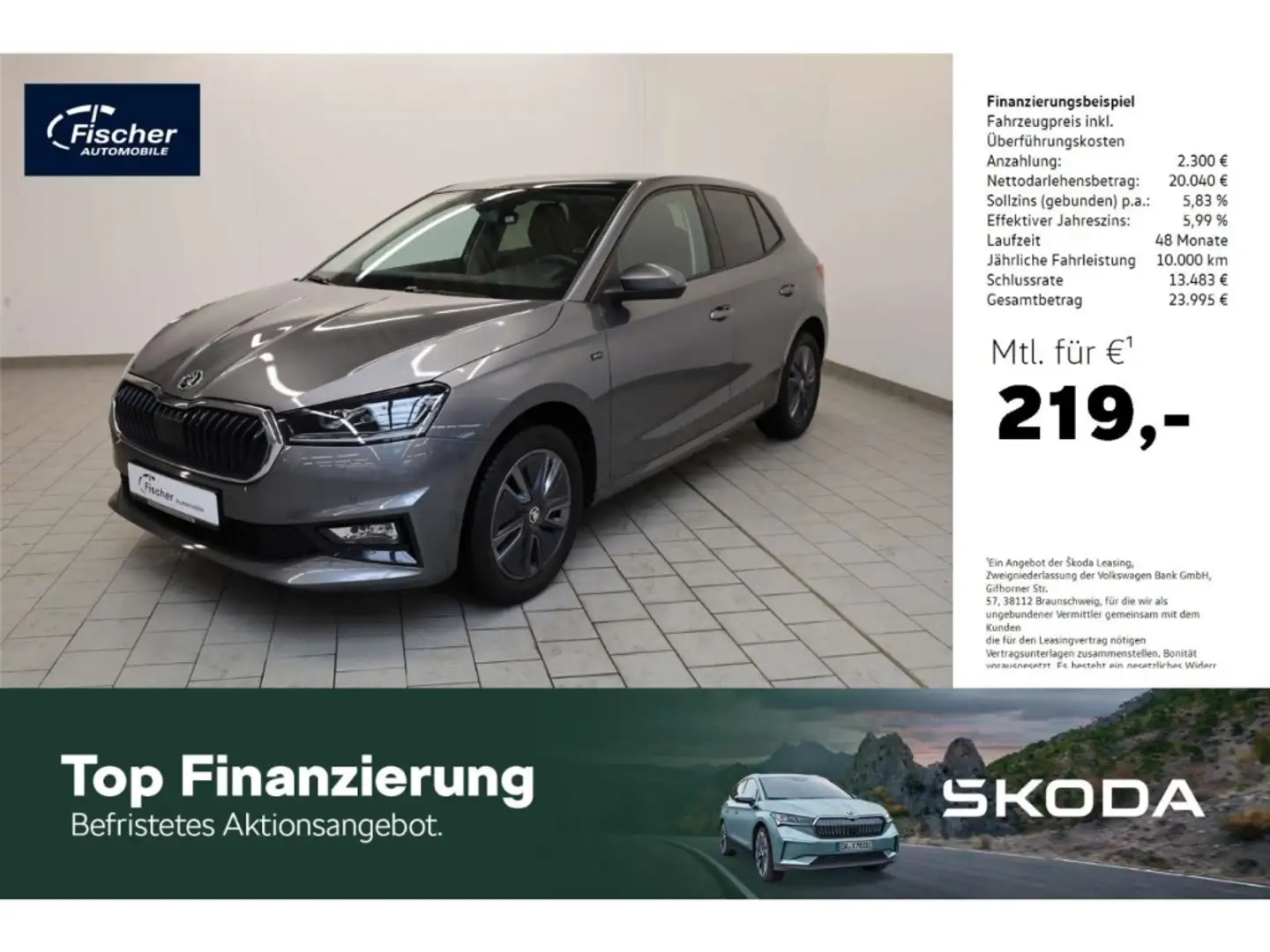 Skoda Fabia 1.0 TSI Selection DSG P-Dach/LED/NAV/RFK Grau - 1