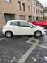 Fiat Punto Evo 1.2i Dynamic Stop&Start Blanc - thumbnail 8