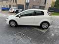Fiat Punto Evo 1.2i Dynamic Stop&Start Blanc - thumbnail 6