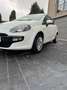 Fiat Punto Evo 1.2i Dynamic Stop&Start Wit - thumbnail 7