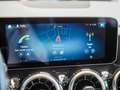 Mercedes-Benz B 220 B 220 4M Progressive Anhängevorrichtung Kamera Grau - thumbnail 21