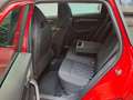 Skoda Karoq Sportline 2.0 TDI Virtual DCC Klima Navi A Rot - thumbnail 4