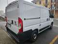 Fiat ducato Blanco - thumbnail 8