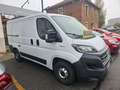 Fiat ducato Blanco - thumbnail 2