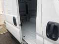 Fiat ducato Blanco - thumbnail 5