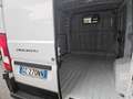 Fiat ducato Blanco - thumbnail 4
