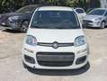 Fiat Panda HYBRID FIREFLY 1.0cc 70cv Bianco - thumbnail 15