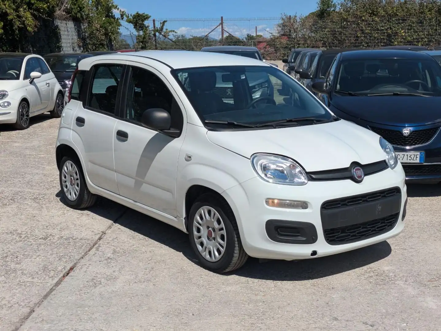 Fiat Panda HYBRID FIREFLY 1.0cc 70cv Bianco - 2