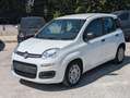Fiat Panda HYBRID FIREFLY 1.0cc 70cv Bianco - thumbnail 3