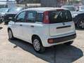 Fiat Panda HYBRID FIREFLY 1.0cc 70cv Bianco - thumbnail 4