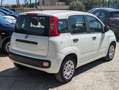Fiat Panda HYBRID FIREFLY 1.0cc 70cv Bianco - thumbnail 5