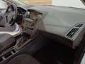 Ford Focus Focus 5p 1.6 Titanium Gpl 120cv Bianco - thumbnail 17