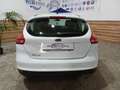 Ford Focus Focus 5p 1.6 Titanium Gpl 120cv Bianco - thumbnail 10