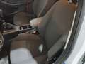 Ford Focus Focus 5p 1.6 Titanium Gpl 120cv Bianco - thumbnail 21