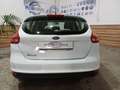 Ford Focus Focus 5p 1.6 Titanium Gpl 120cv Bianco - thumbnail 9