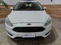 Ford Focus Focus 5p 1.6 Titanium Gpl 120cv Bianco - thumbnail 32