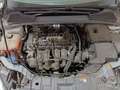 Ford Focus Focus 5p 1.6 Titanium Gpl 120cv Bianco - thumbnail 31