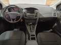 Ford Focus Focus 5p 1.6 Titanium Gpl 120cv Bianco - thumbnail 14