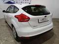 Ford Focus Focus 5p 1.6 Titanium Gpl 120cv Bianco - thumbnail 11