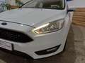 Ford Focus Focus 5p 1.6 Titanium Gpl 120cv Bianco - thumbnail 8