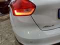 Ford Focus Focus 5p 1.6 Titanium Gpl 120cv Bianco - thumbnail 13