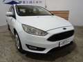 Ford Focus Focus 5p 1.6 Titanium Gpl 120cv Bianco - thumbnail 4