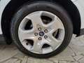Ford Focus Focus 5p 1.6 Titanium Gpl 120cv Bianco - thumbnail 29