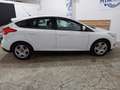 Ford Focus Focus 5p 1.6 Titanium Gpl 120cv Bianco - thumbnail 7