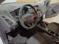 Ford Focus Focus 5p 1.6 Titanium Gpl 120cv Bianco - thumbnail 16