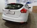 Ford Focus Focus 5p 1.6 Titanium Gpl 120cv Bianco - thumbnail 12