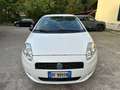 Fiat Grande Punto Grande Punto 3p 1.2 Active 65cv Bianco - thumbnail 8