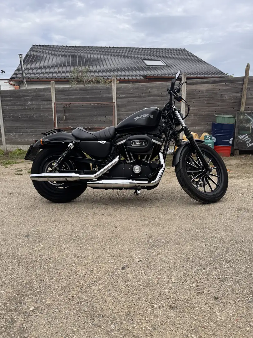 Harley-Davidson Sportster 883 Harley Davidson Sportster Xl Iron 883 - 1