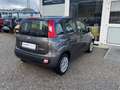 Fiat New Panda 1.0 FireFly Hybrid Gris - thumbnail 4