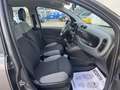 Fiat New Panda 1.0 FireFly Hybrid Gris - thumbnail 11