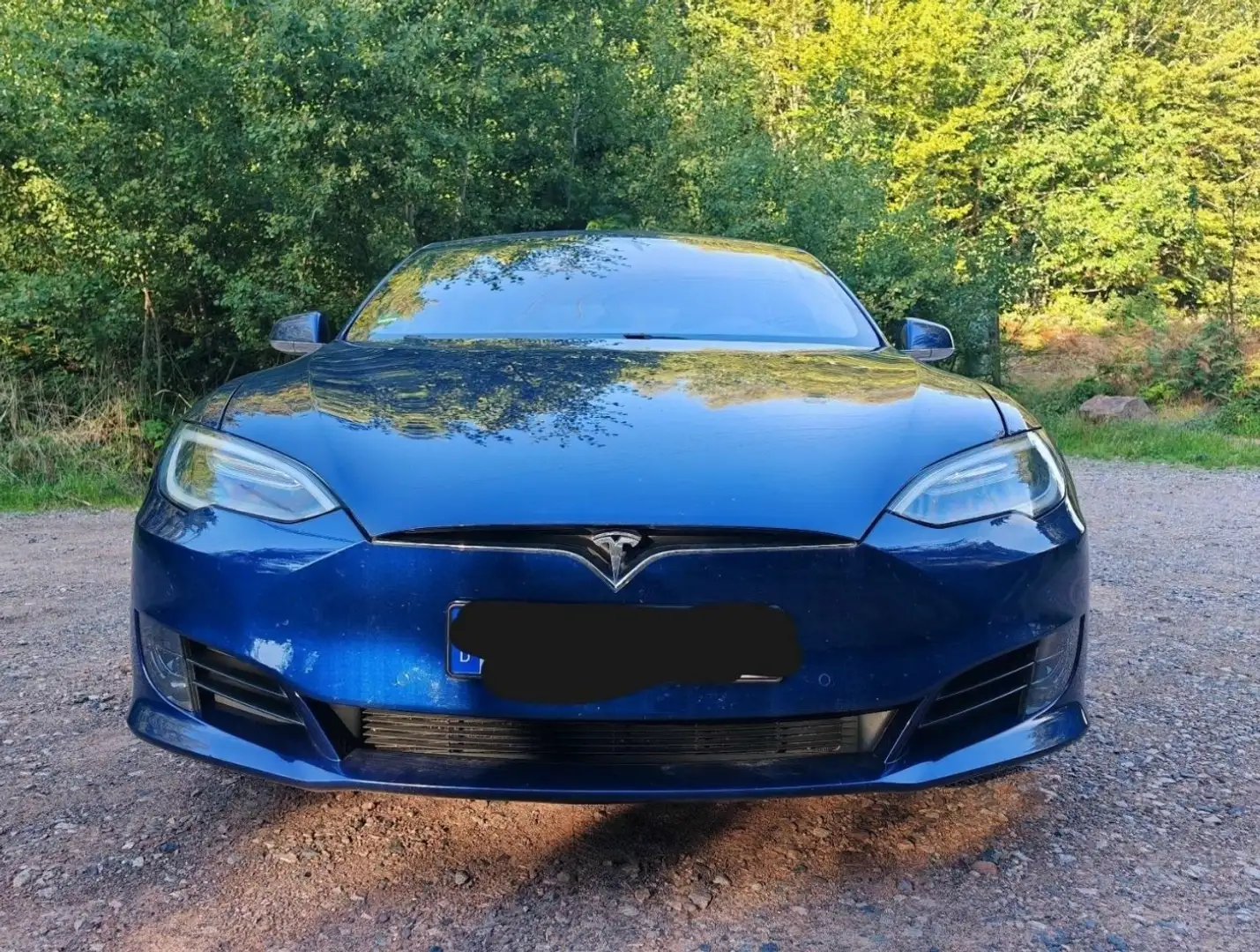 Tesla Model S 60, Premium Seats, DU, Bremsen neu Blau - 1