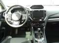 Subaru Forester 2.0ie Lineartronic Active Sorglos-Prämie Grey - thumbnail 13