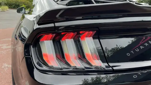 Ford Mustang view 10