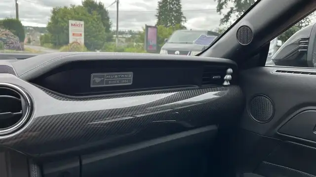 Ford Mustang view 30