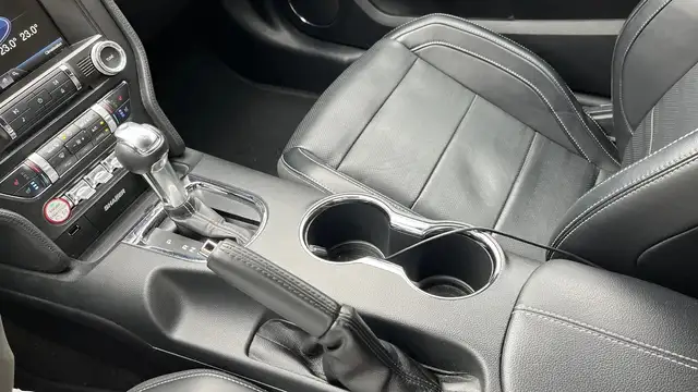 Ford Mustang view 27