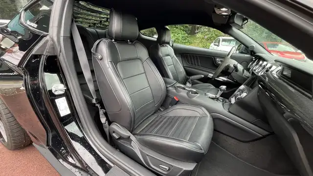 Ford Mustang view 16
