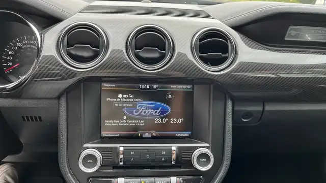 Ford Mustang view 22